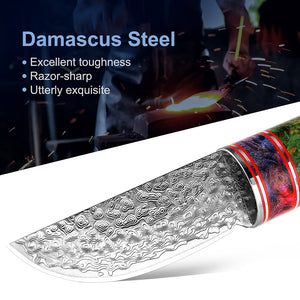 Elevate Your Outdoor Experience with the Outdoor Small Straight Fruit Wood Handle Knife