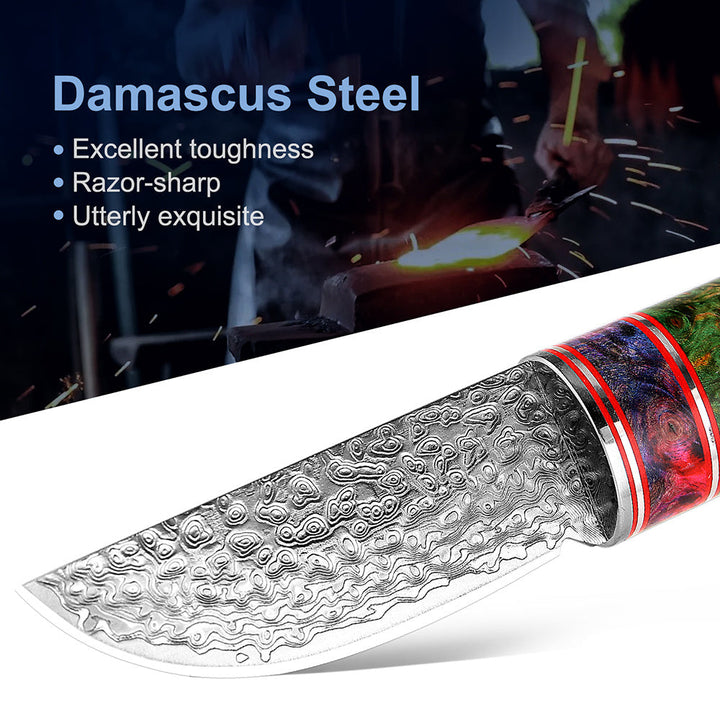 Elevate Your Outdoor Experience with the Outdoor Small Straight Fruit Wood Handle Knife