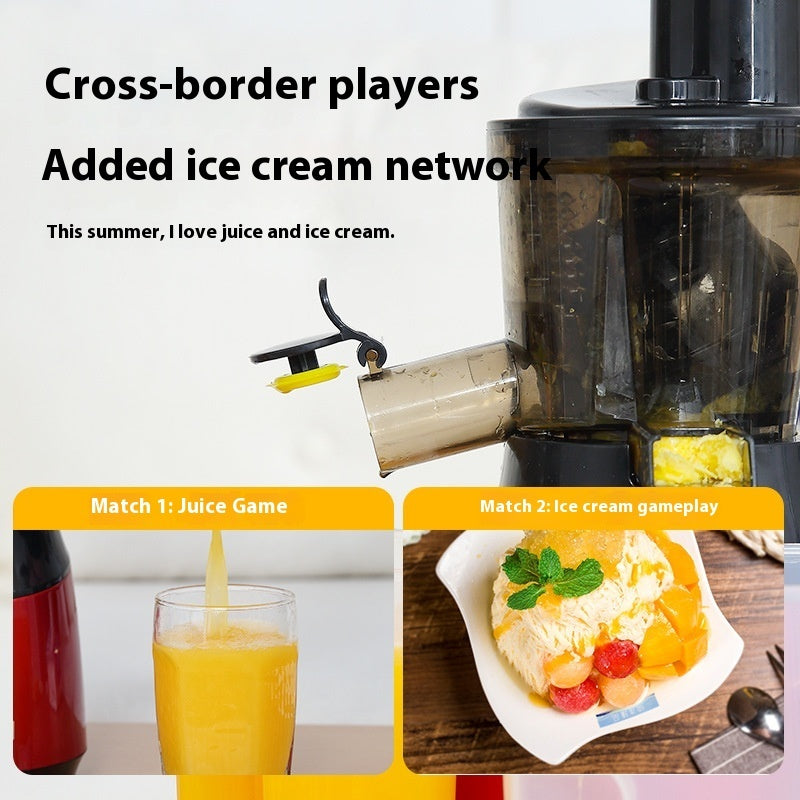 Low Speed Juicer Multifunctional Fruit And Vegetable Juicer